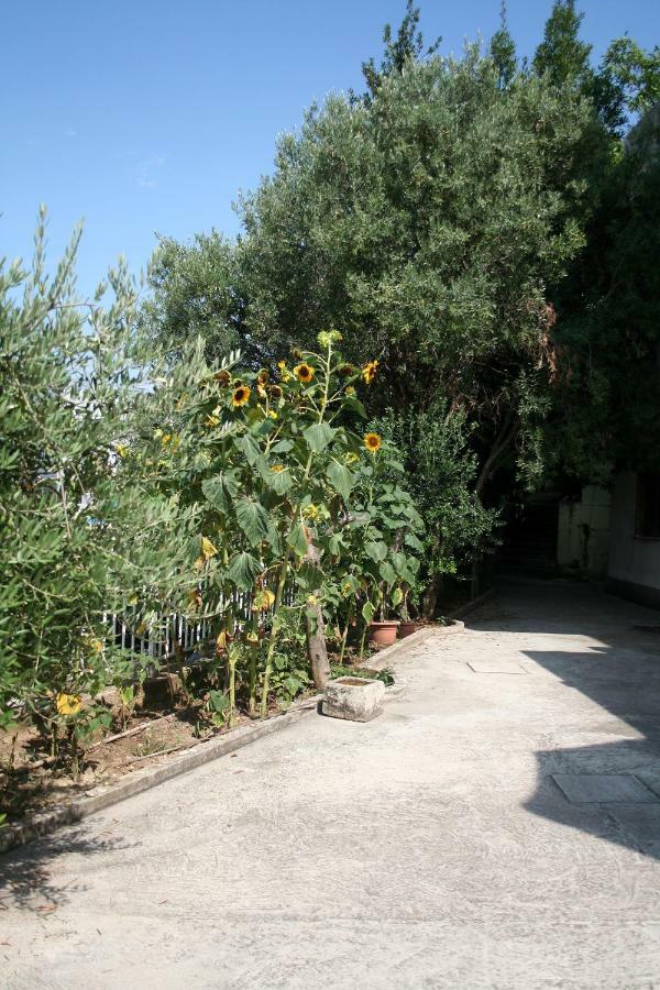 Sunflower Split Exterior photo